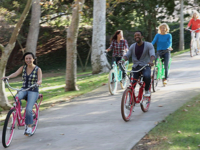 The Electric Bicycle Controversy
