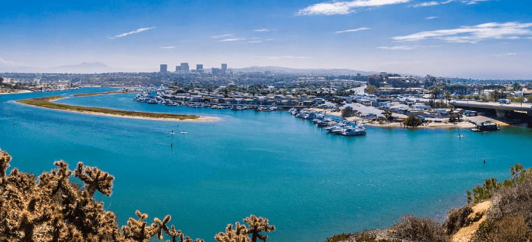 Healthy?  Wealthy?  Wise?