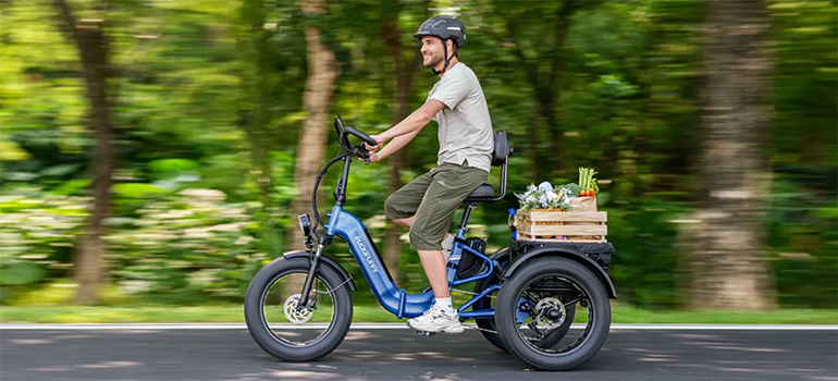 Concerned About Traffic and E-Bikes?